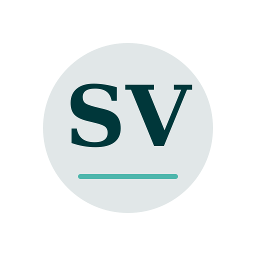 Silver View Dryer Cleaning Services logo